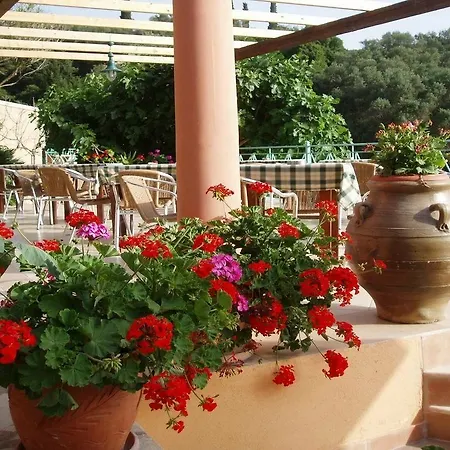 Blue Princess And 里亚帕德斯